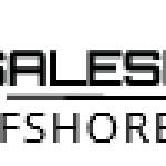 Salesforce Offshore Support Services Providers