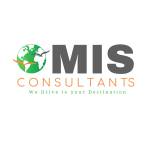 MIS- Consultants