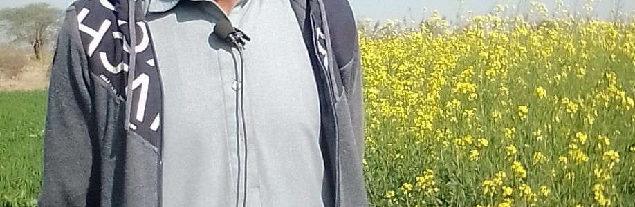 Naveed Ulhaq Cover Image