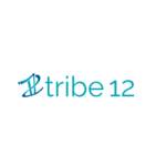 Tribe 12 Profile Picture
