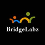 Bridge Labz Profile Picture