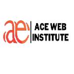 Ace Web Institute - Digital Marketing Training School