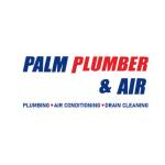 Palm Plumber & Air profile picture