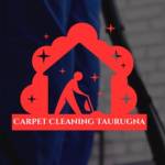 Carpet Cleaning Tauranga