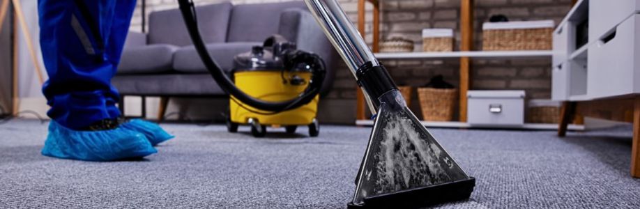 Carpet Cleaning Hamilton Cover Image