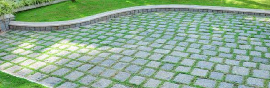 SK Landscape Cover Image