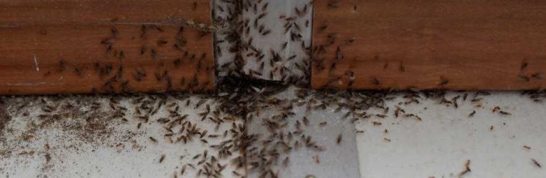 Chambers Pest Solutions Cover Image