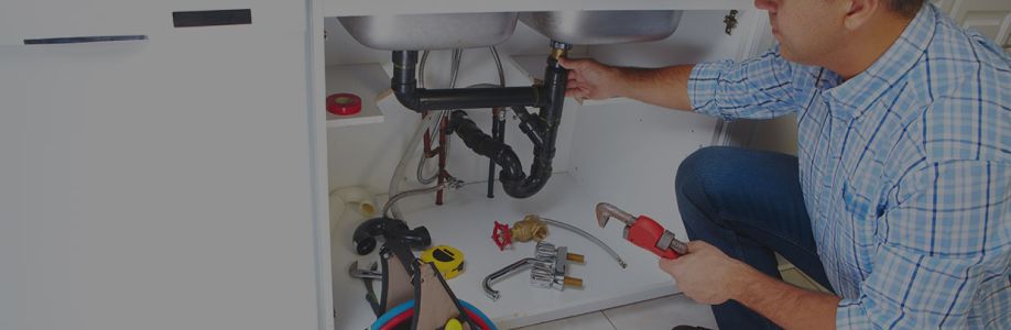 RAY-Z Plumbing Cover Image