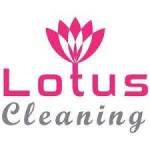 Lotus Upholstery Cleaning