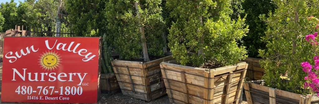 Sun Valley Nursery Cover Image