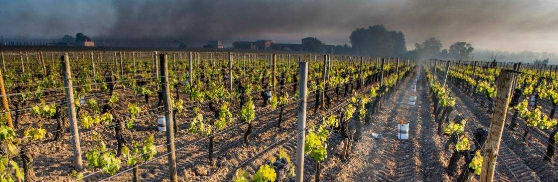 Simp Candele AntiGelo Cover Image