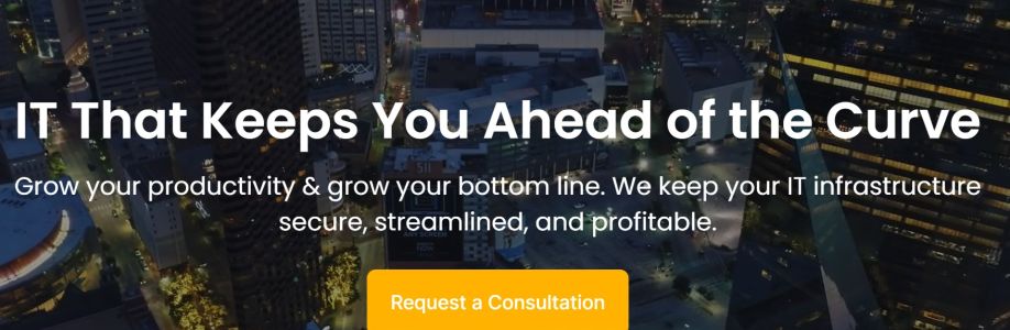 Network Elites Cover Image