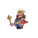 The Roofing King USA