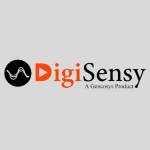 Digisensy - Digital Marketing Agency