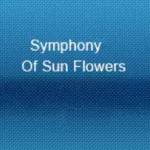 Symphony of Sun Flowers