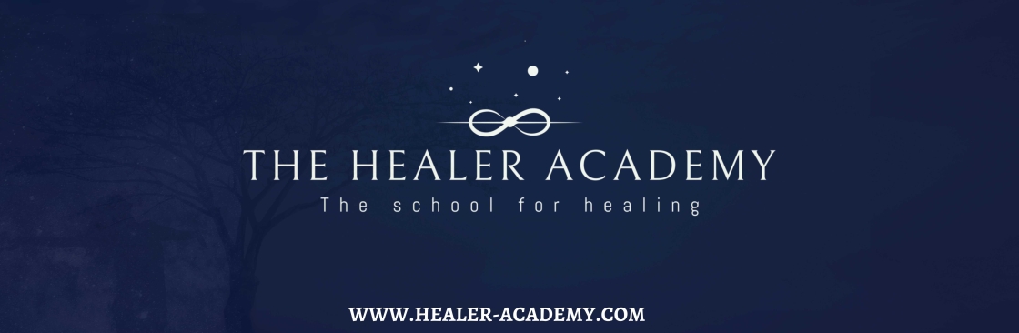 The Healer Academy Cover Image