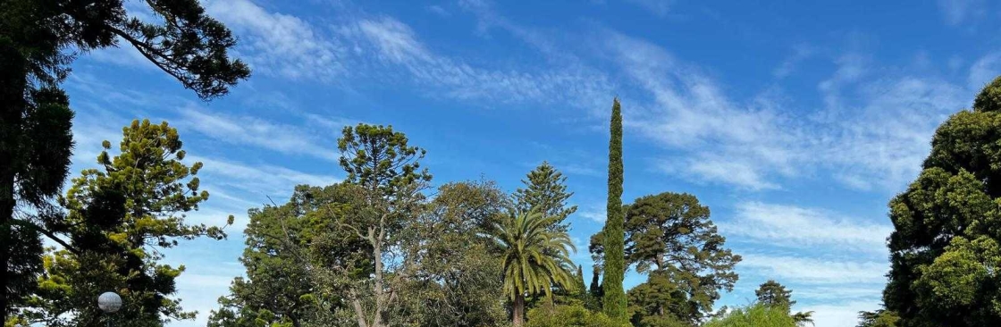 Limo Airport Transfers Cover Image