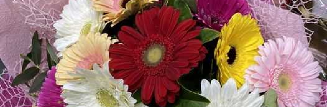 blossomof wyndham Cover Image