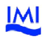 International Maritime Institute