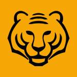 Asian Tigers Group