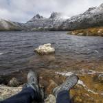 wildtasmaniatours