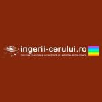 ingerii cerului Profile Picture