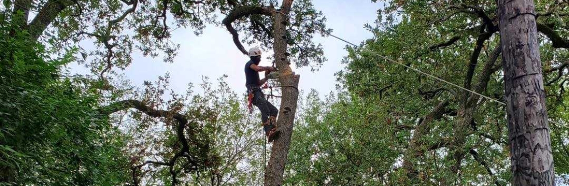 Top Point Tree Cover Image