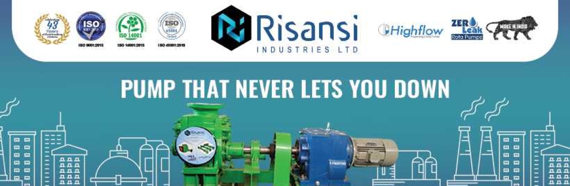 Risansi Industries Ltd Cover Image