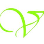 Vritti Designs