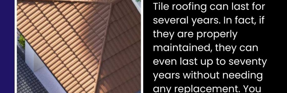 Roof Repair Miami - Master Roofer Cover Image