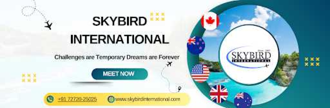 Skybird International Cover Image