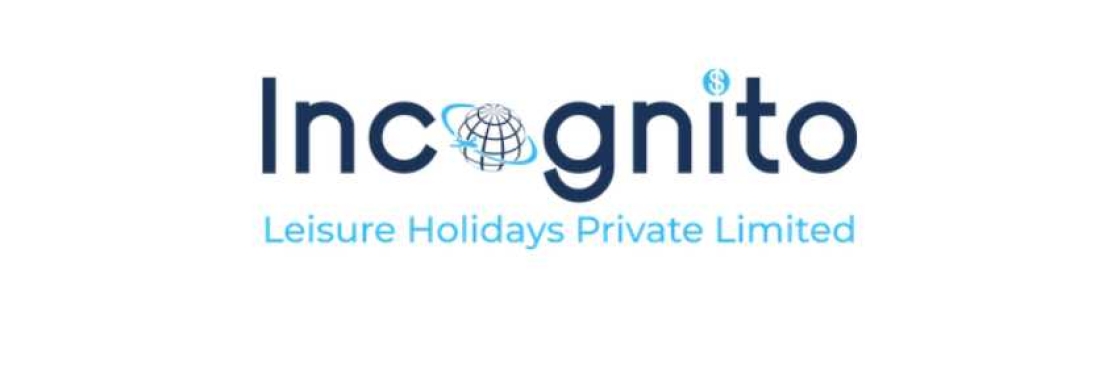 Incognito Holidays Cover Image