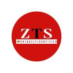 ZTS Infotech Pvt Ltd