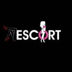 Escort Service Hub Chandigarh profile picture