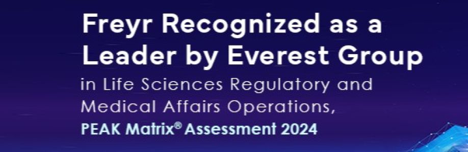 Freyr Solutions Cover Image