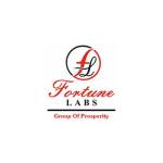 Fortune Labs