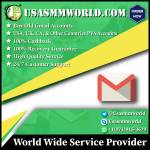 usasmm world