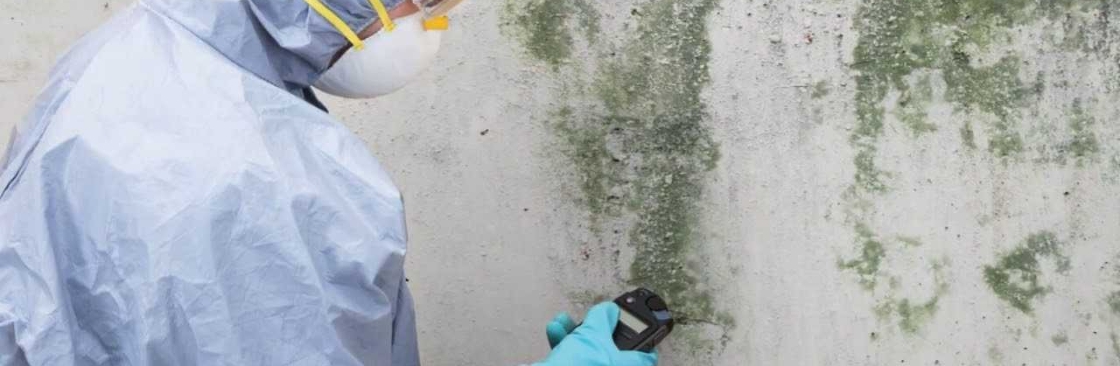 Mould Experts Newcastle Cover Image