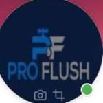 Pro Flush Profile Picture