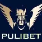 pulibety enilink