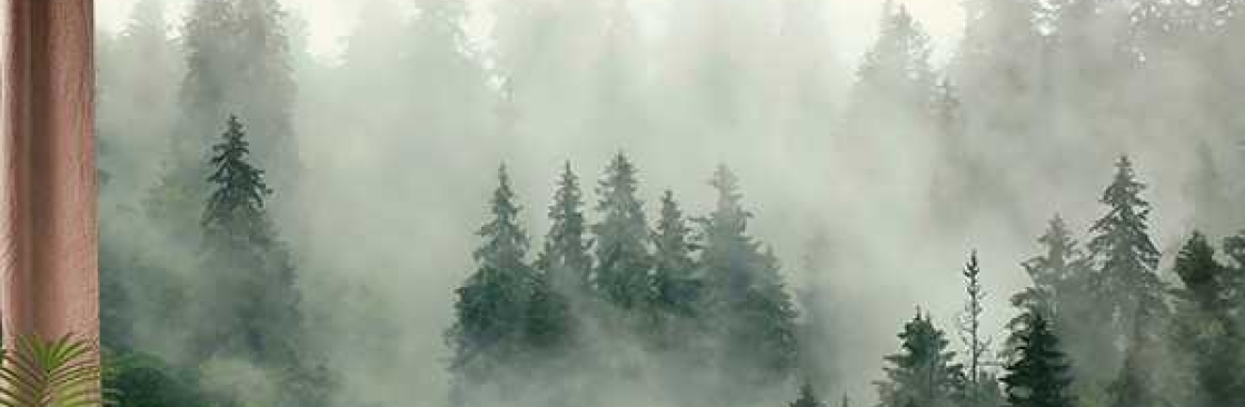 Feature Wall Cover Image