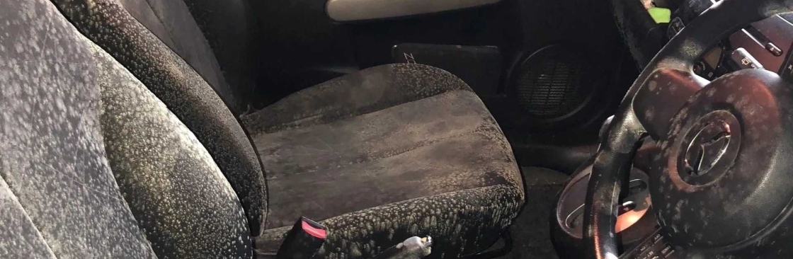 Mould Doctors Cover Image