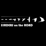 BIRDERS on the ROAD
