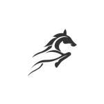 The Everest Racing Tips