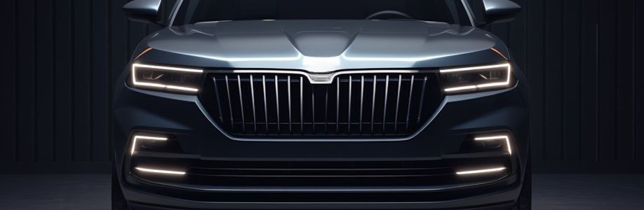 American Link Limousins Cover Image