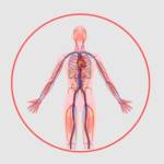 Vascular care India Profile Picture