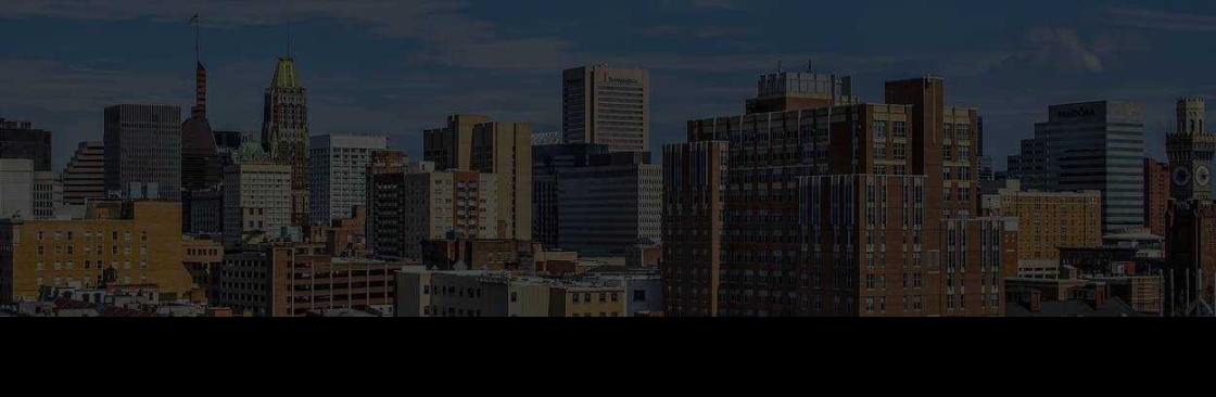 The Mt Washington Group Cover Image