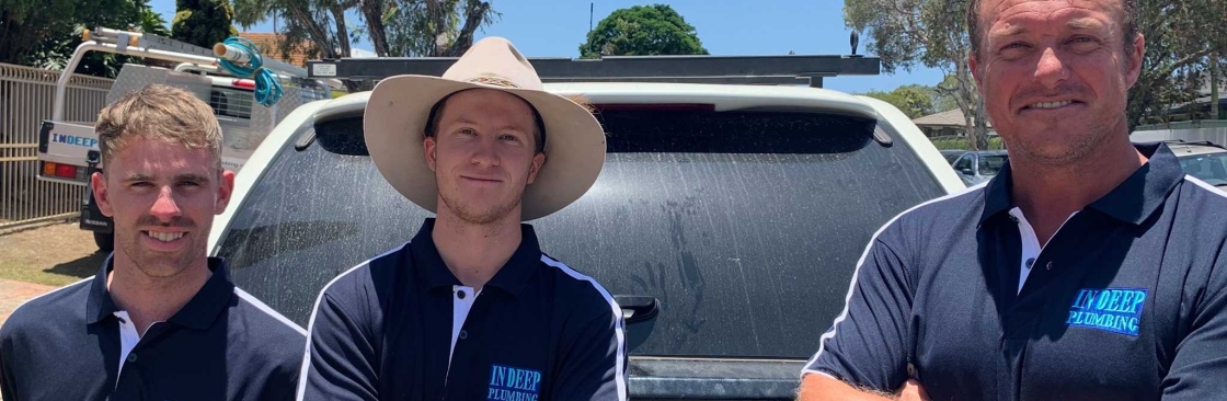 In Deep Plumbing Cover Image