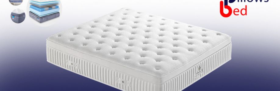 Bed and Pillows Cover Image