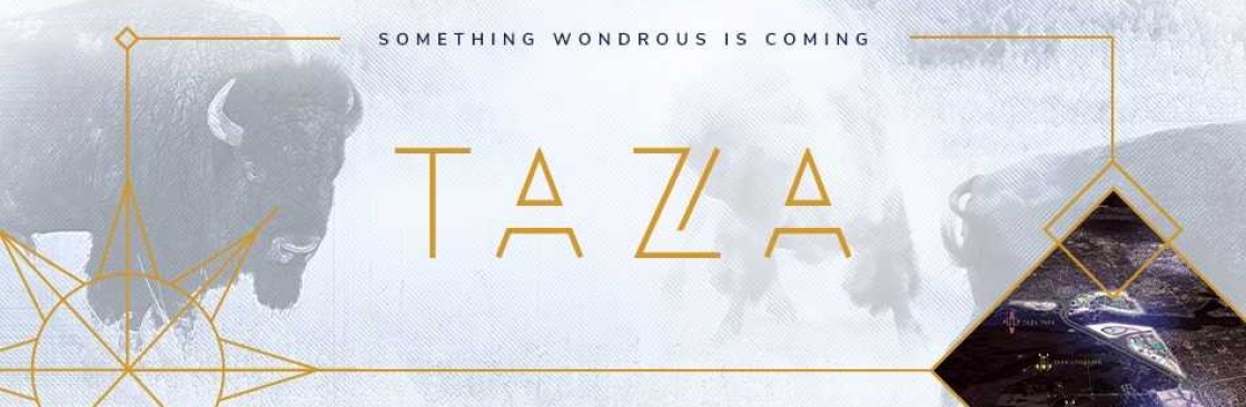 Taza Development Cover Image